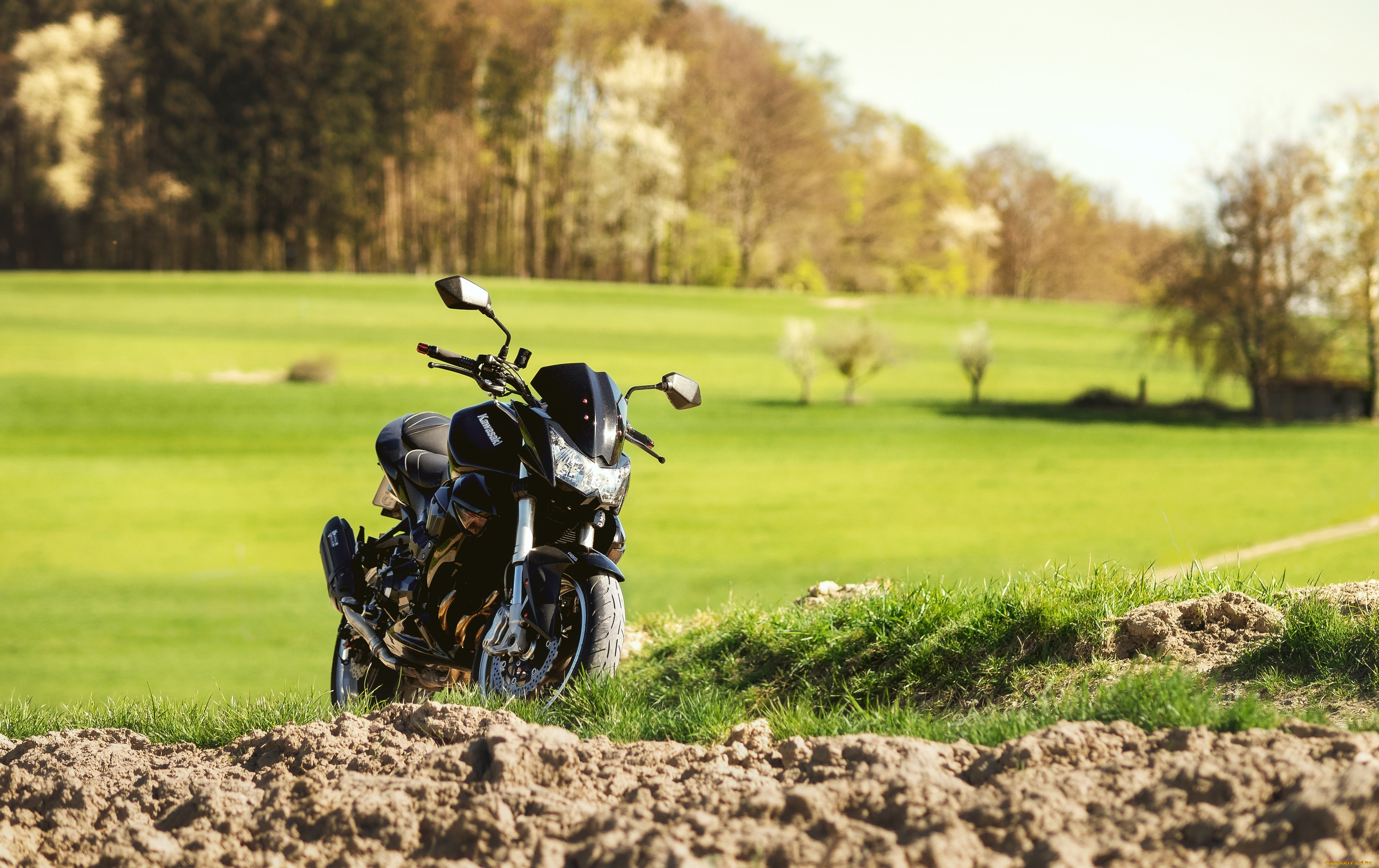 , kawasaki, 